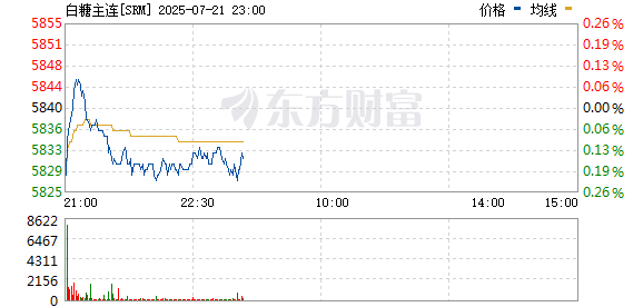 白糖主力